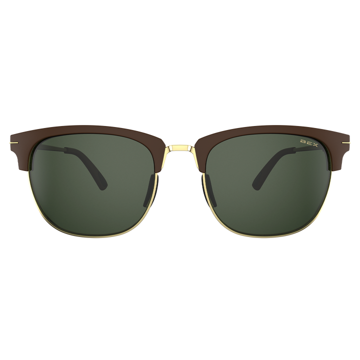 #color_chestnut-forest