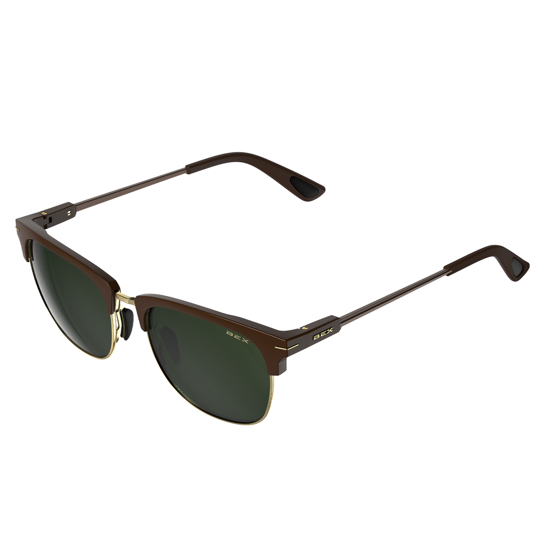 #color_chestnut-forest