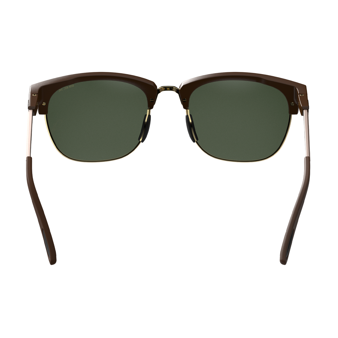 #color_chestnut-forest