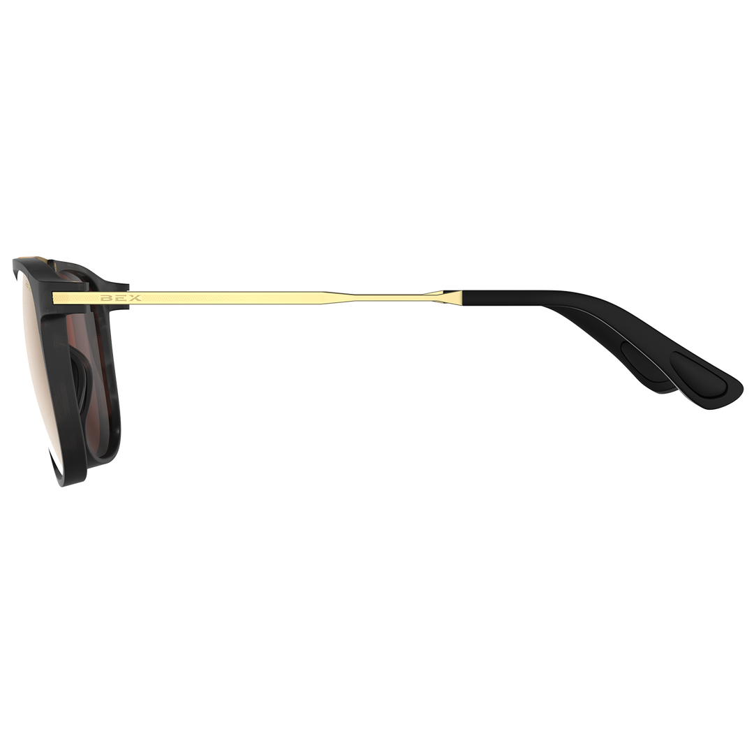 #color_tortoise-gray-brown-gold