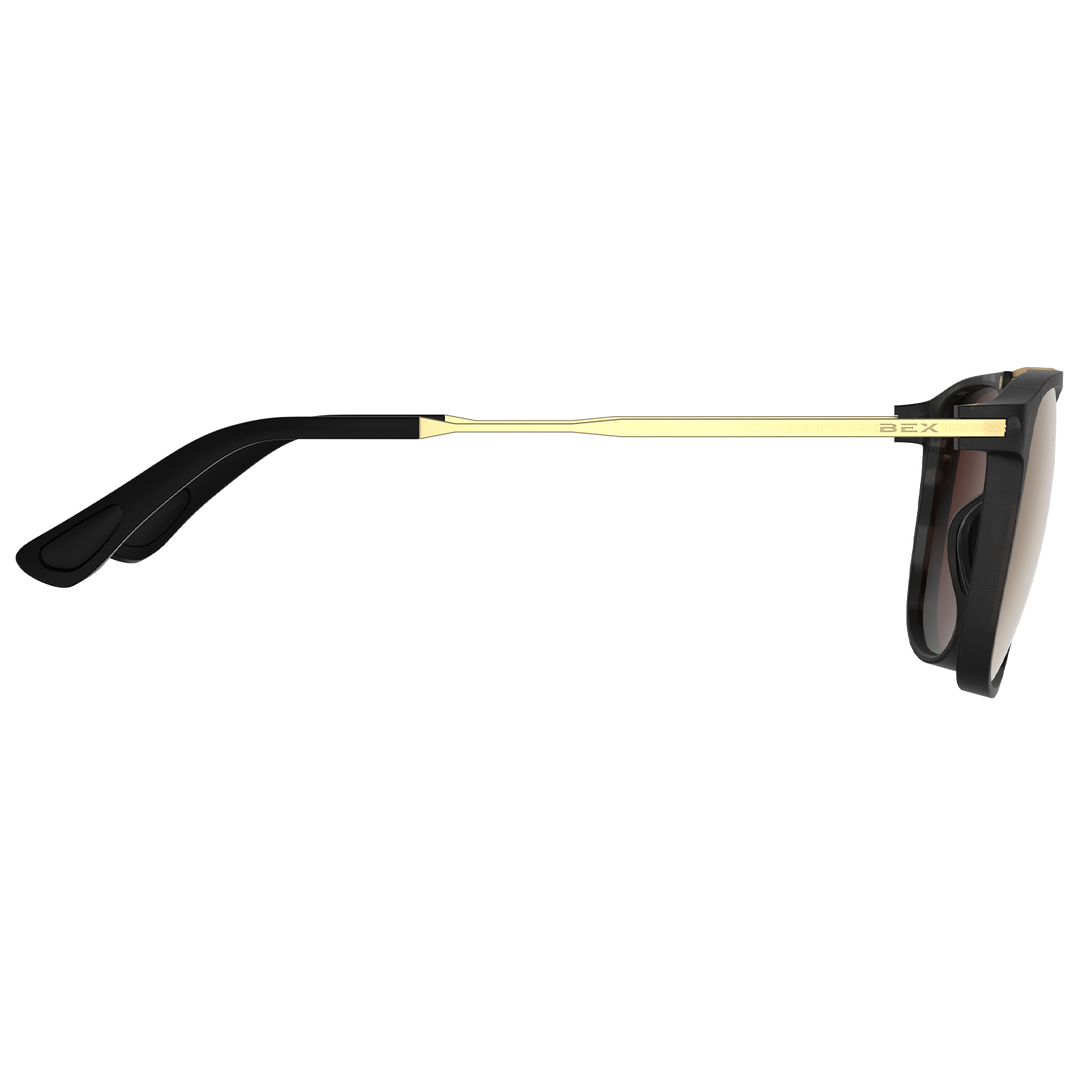 #color_tortoise-gray-brown-gold