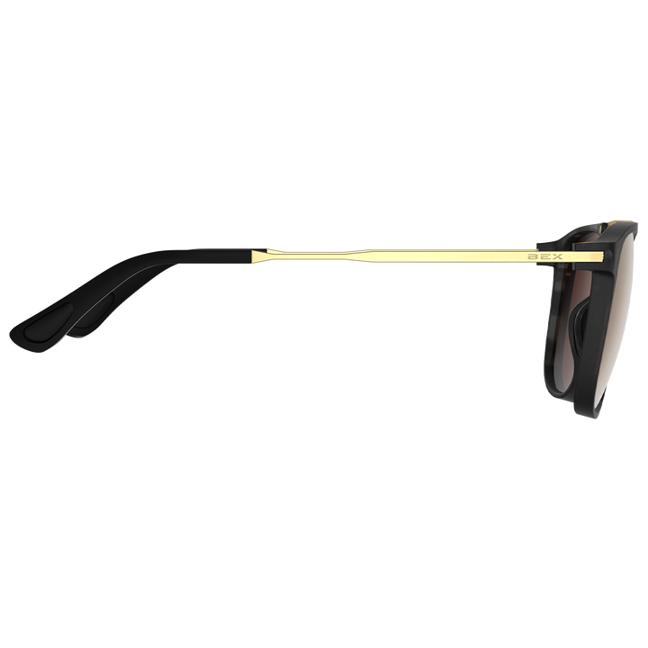#color_tortoise-gray-brown-gold