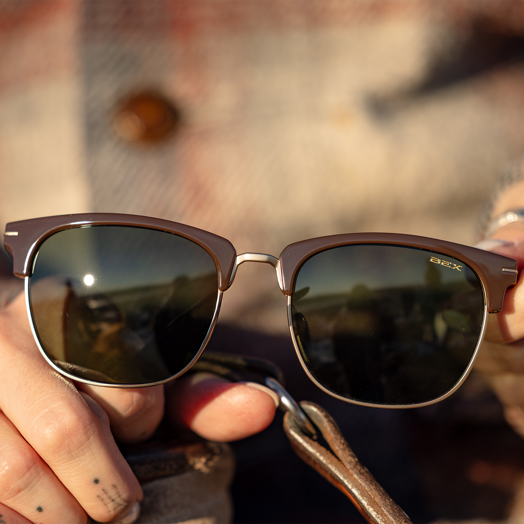 #color_chestnut-forest