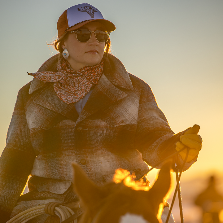 #color_chestnut-forest