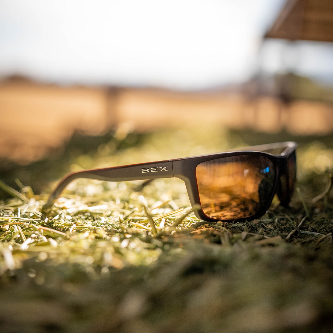 #color_brown-brown-silver