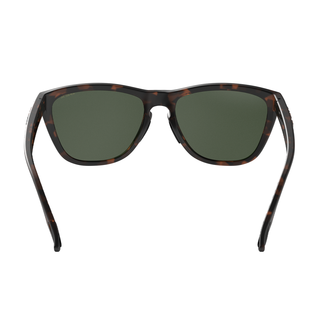 #color_tortoise-brown-forest