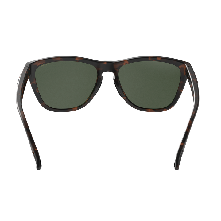 #color_tortoise-brown-forest