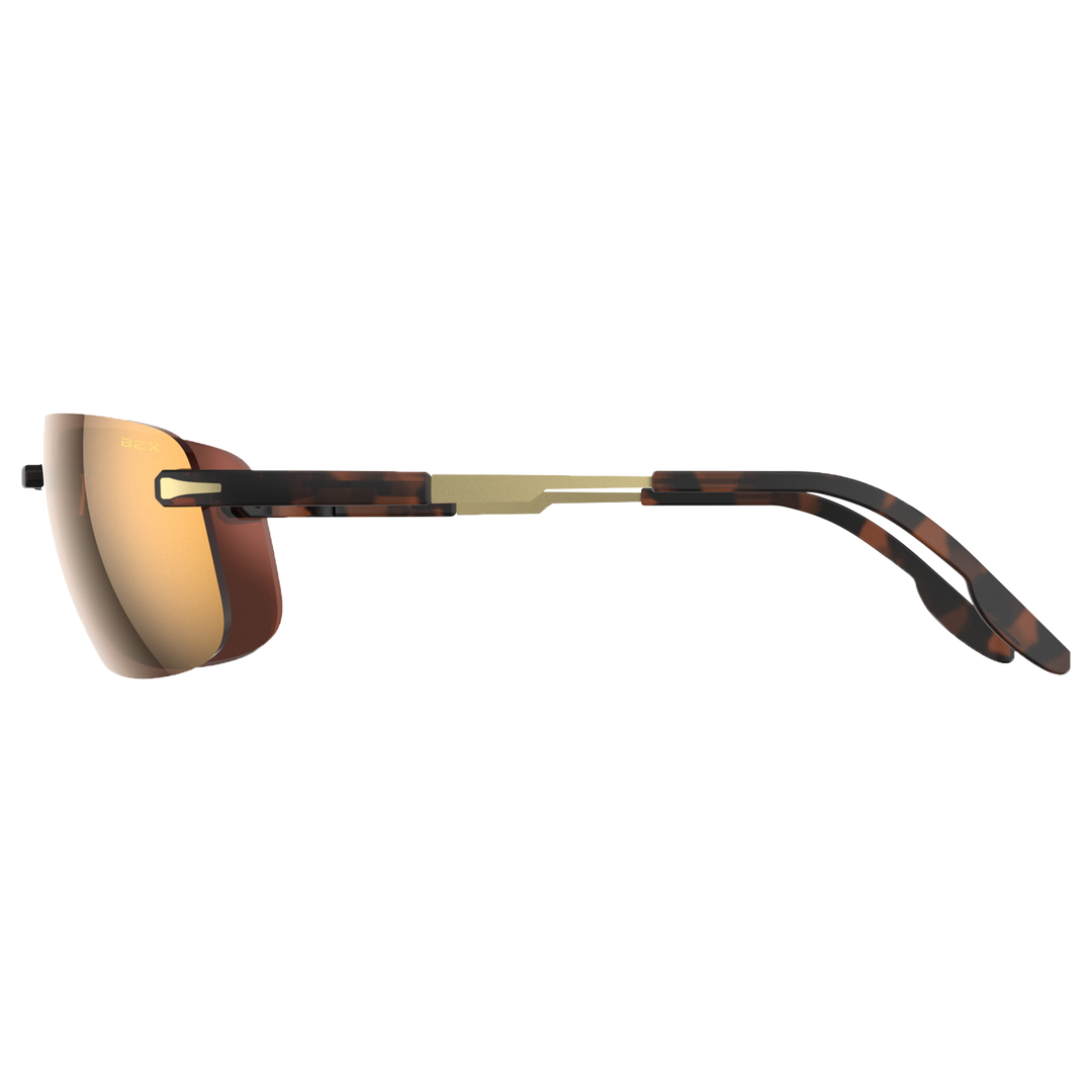 Sunglasses Brackley X S36TBG-Tortoise Brown Gold#color_tortoise-brown-gold