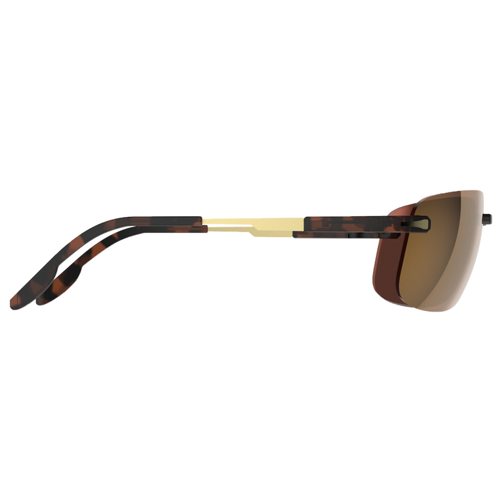 Sunglasses Brackley X S36TBG-Tortoise Brown Gold#color_tortoise-brown-gold