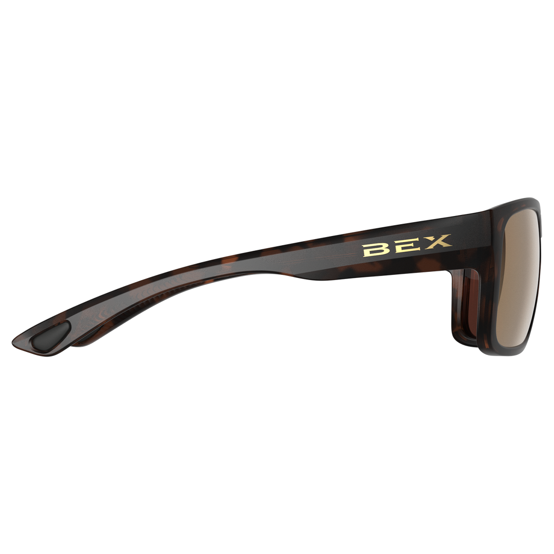 Sunglasses Jaebyrd OTG S122TBBRGL Tortoise Brown Brown Gold#color_tortoise-brown-brown-gold