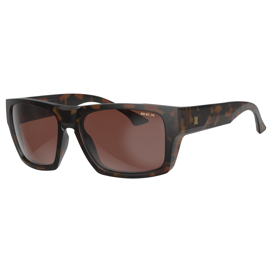 #color_tortoise-brown-silver