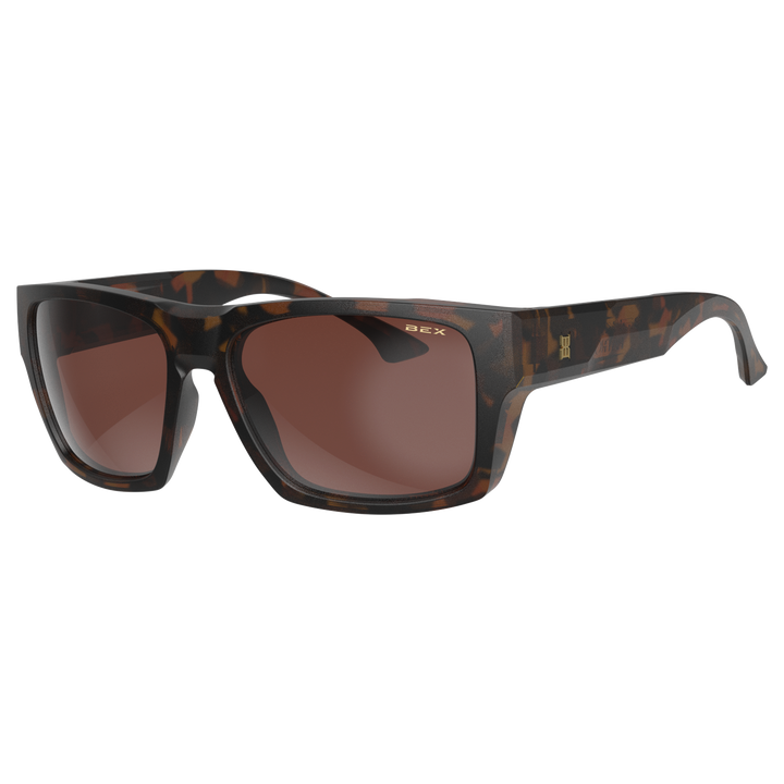 #color_tortoise-brown-silver