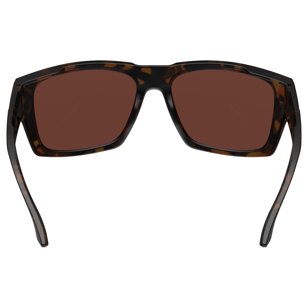 #color_tortoise-brown-silver