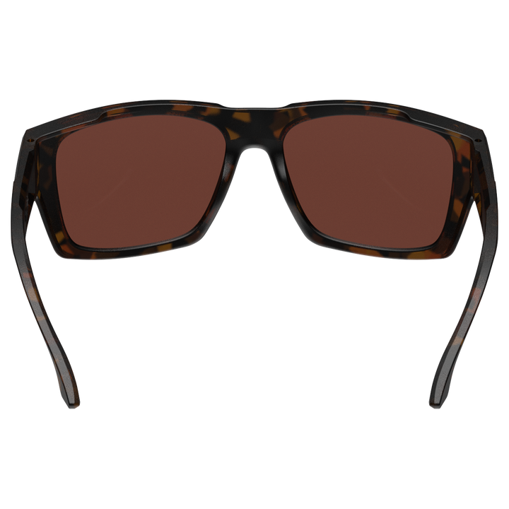 #color_tortoise-brown-silver