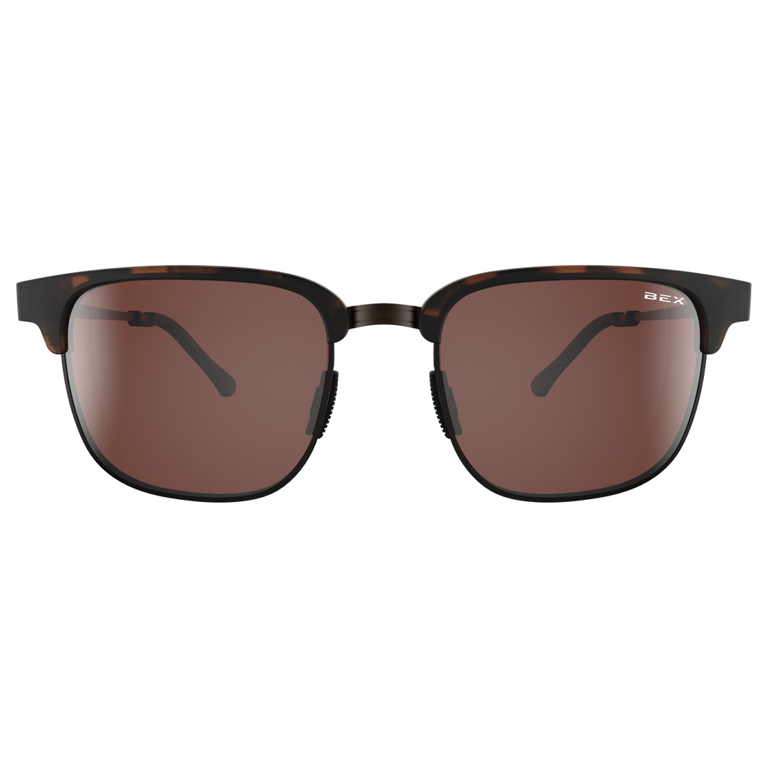 #color_tortoise-brown-silver