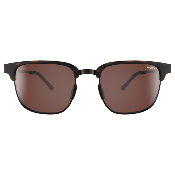 #color_tortoise-brown-silver