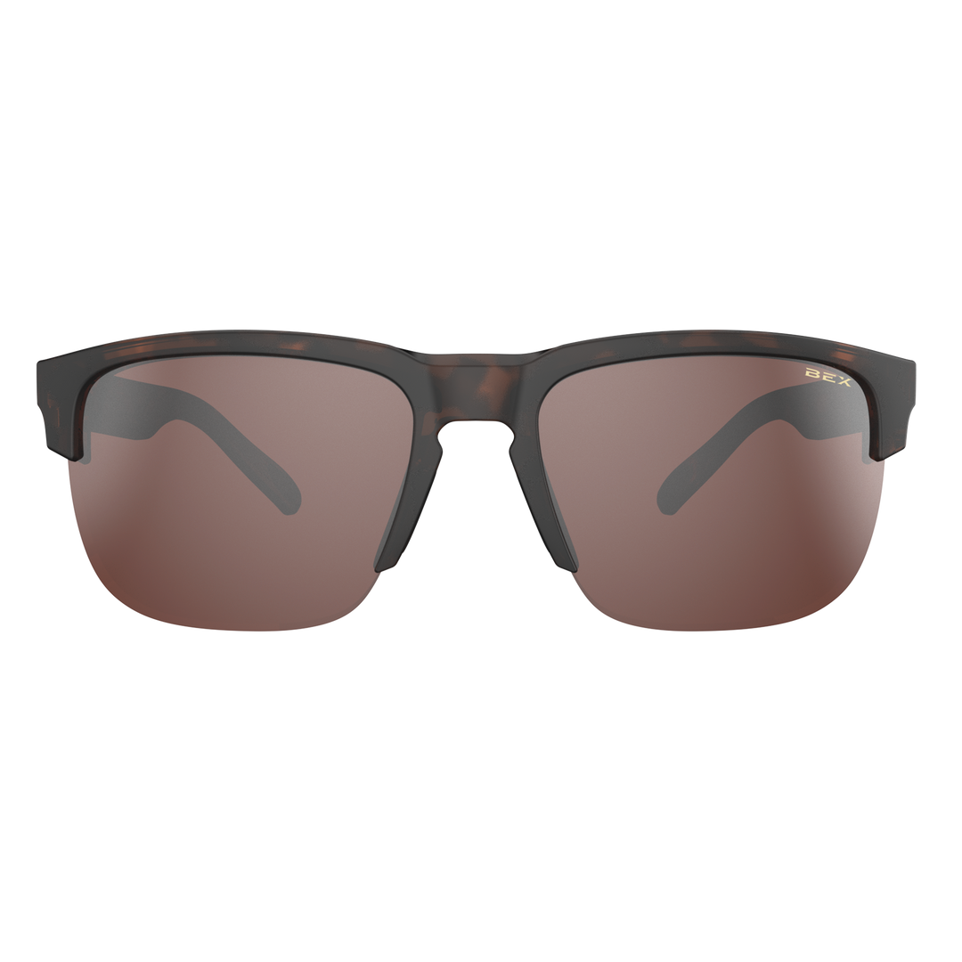 #color_tortoise-brown-brown-silver